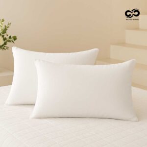 17*27 Pillow