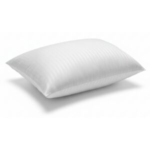 Lemon Pillow