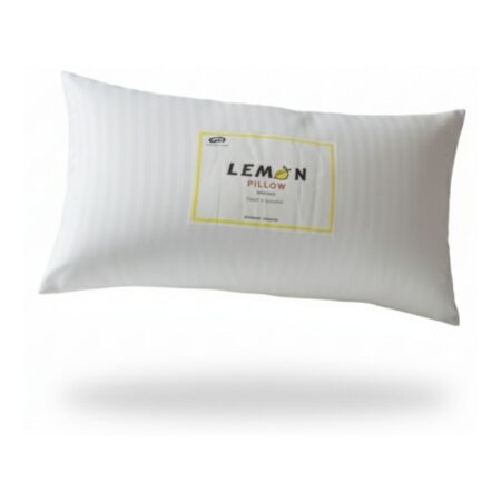 Lemon Pillow