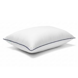 Sukoon Pillow