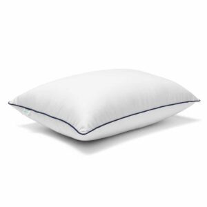 Best Pillow for Neck Pain