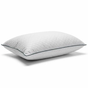 Best Pillow for Neck Pain